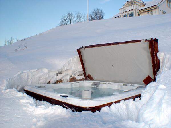 Гидромассажный спа-бассейн Sundance Spas Cameo